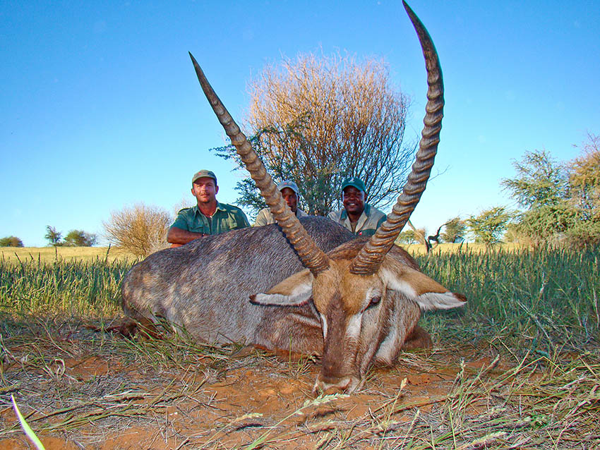 WATERBUCK-30-30-48-G-SCI-RW